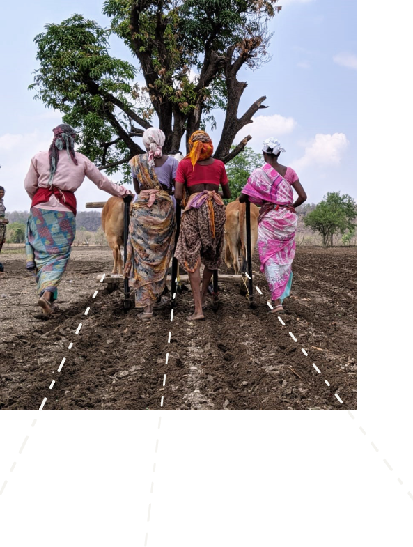 women in field prepping land for farming